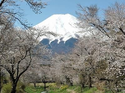 Pension Sumomo No Ki Oshino Екстериор снимка