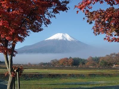 Pension Sumomo No Ki Oshino Екстериор снимка